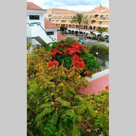 Surycan, Beautiful In Maspalomas Apartment Maspalomas (Gran Canaria)